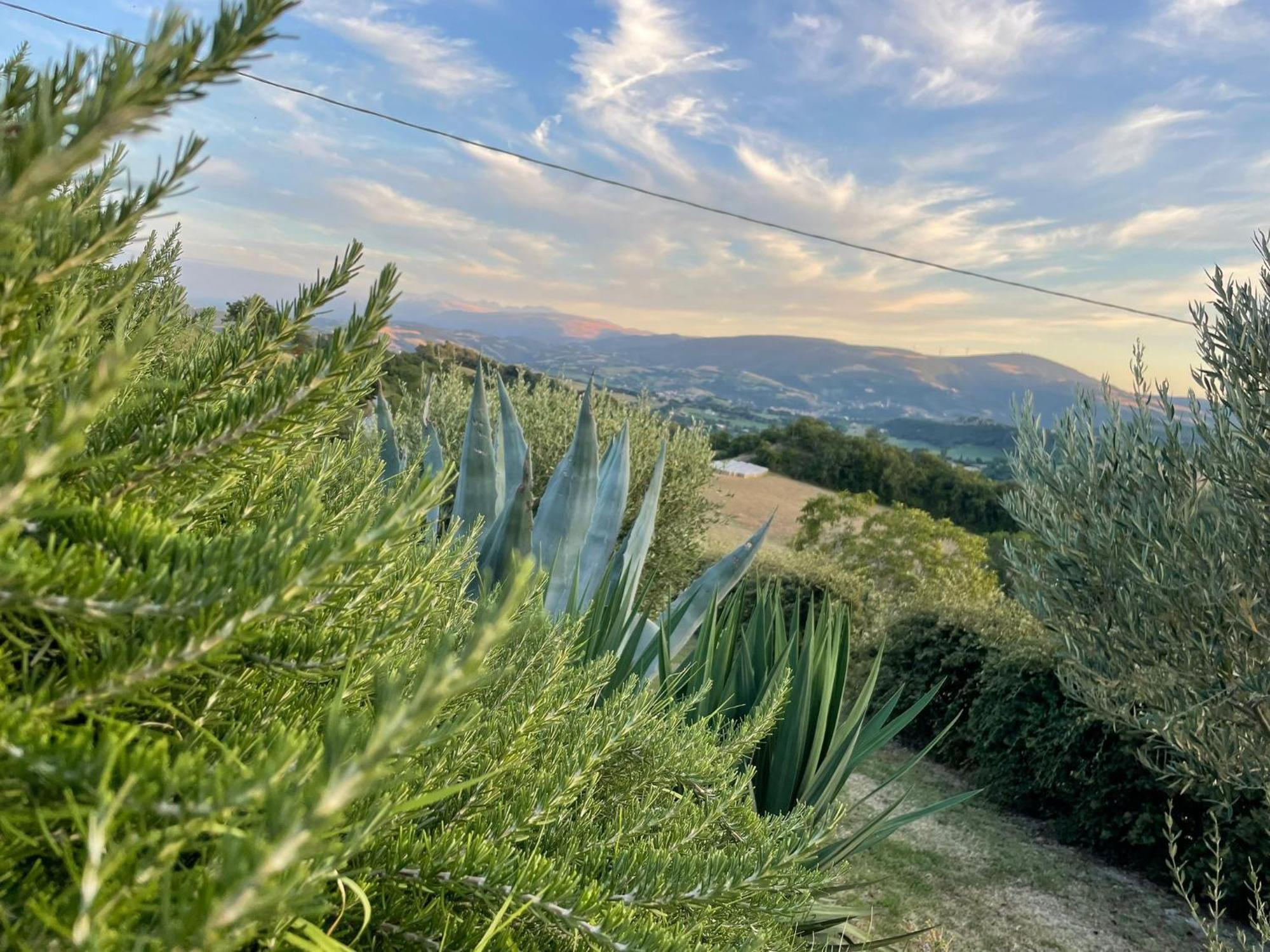 Agriturismo Villa Rosetta Сан Северино Марке Екстериор снимка