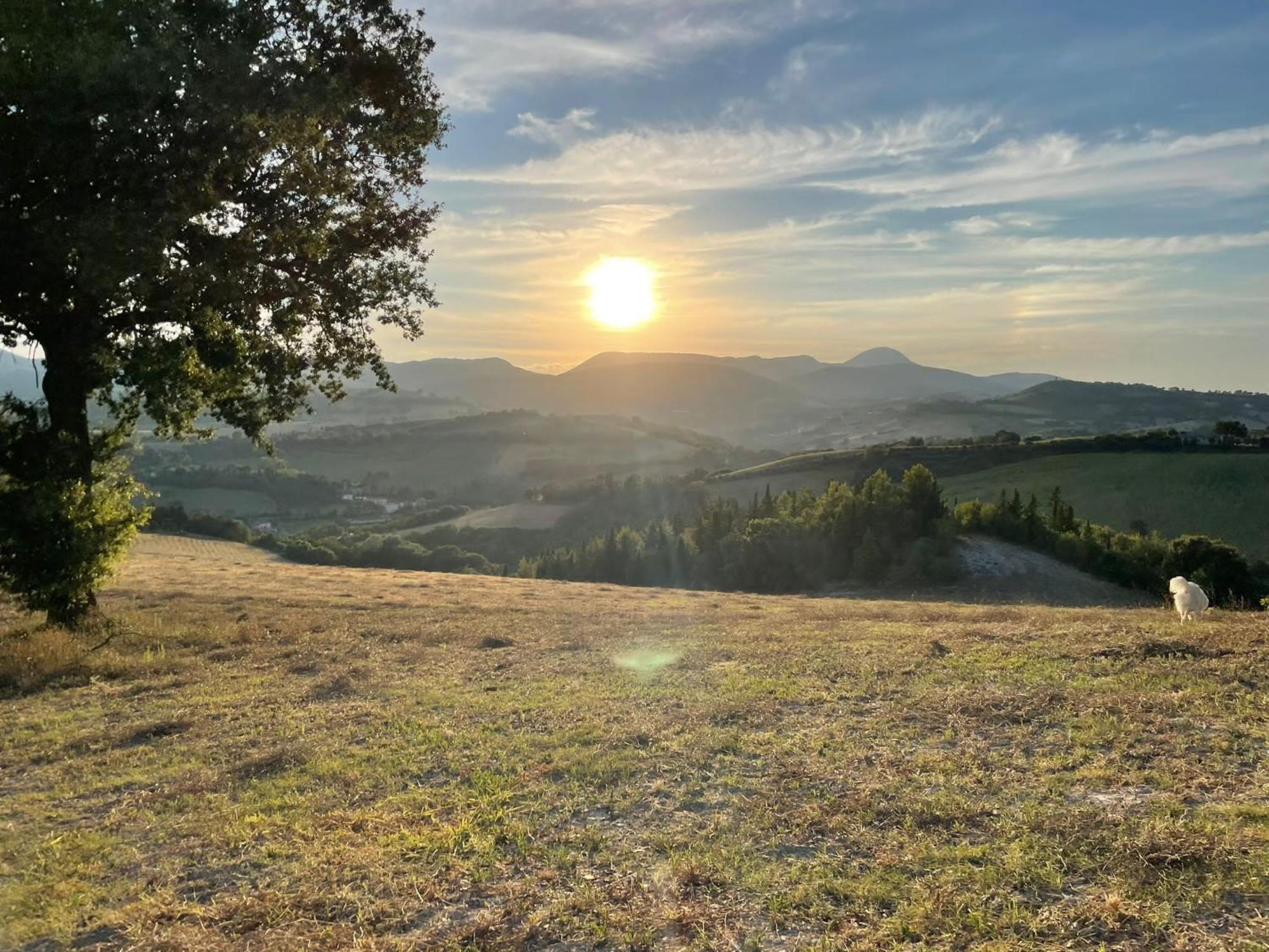 Agriturismo Villa Rosetta Сан Северино Марке Екстериор снимка