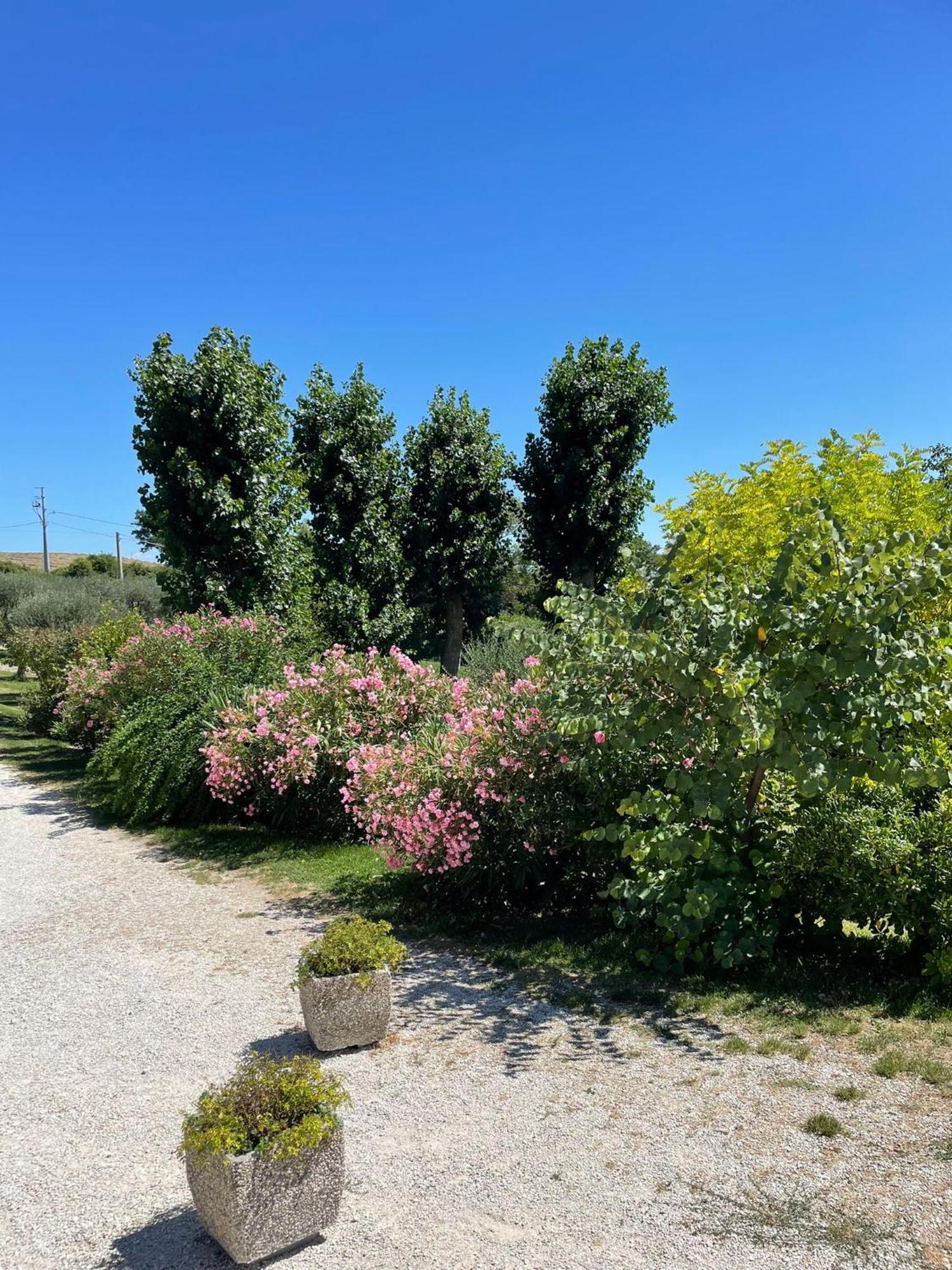 Agriturismo Villa Rosetta Сан Северино Марке Екстериор снимка