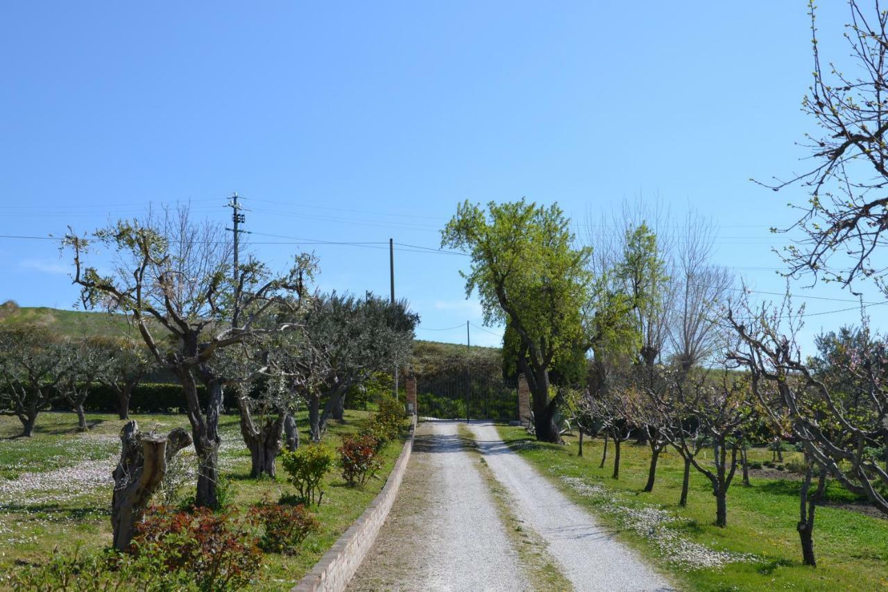 Agriturismo Villa Rosetta Сан Северино Марке Екстериор снимка